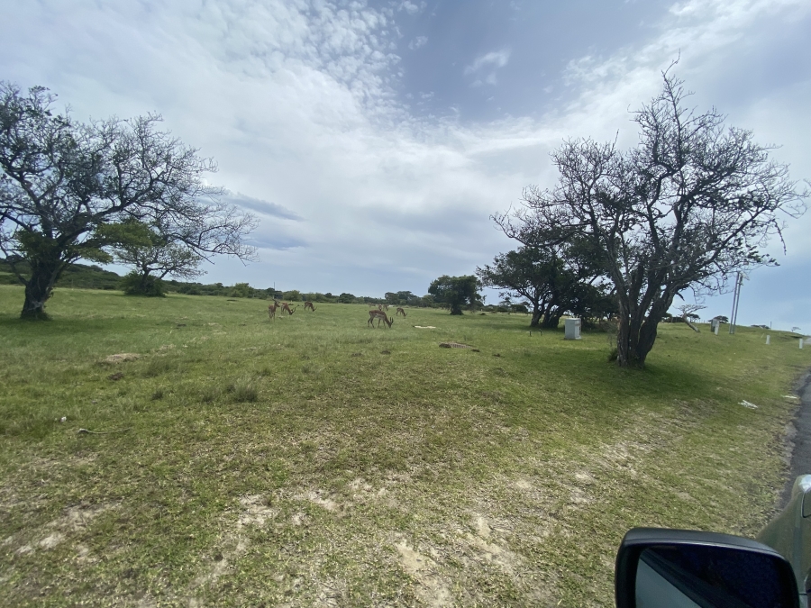 0 Bedroom Property for Sale in Cove Rock Eastern Cape